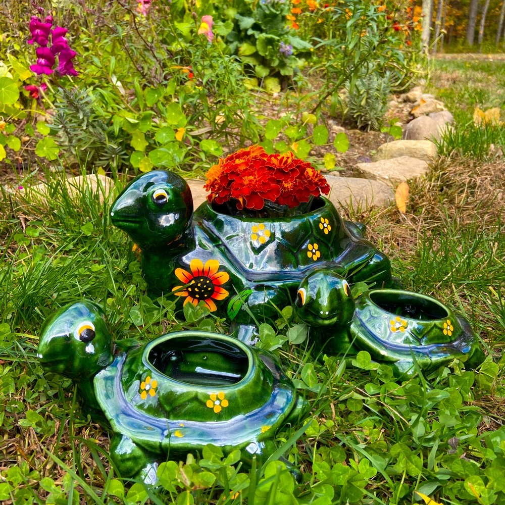 🐢Vintage Turtle Planters! 🌼